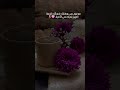 مستحيل أبدا تهوني