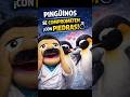 “Los pingüinos se comprometen con piedras#AmorAnimal #DatosCuriosos #Anastacio #Pingüinos #SabiasQue
