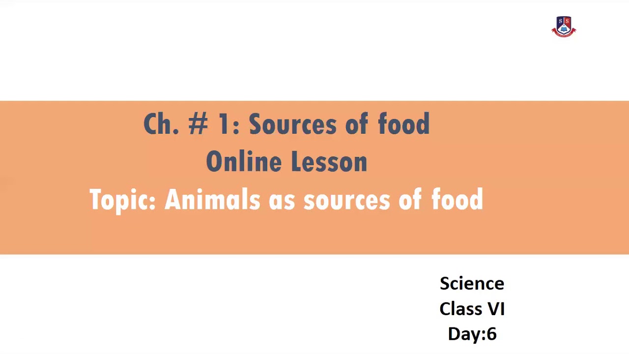 Grade 6 Science chapter 1 Sources of food Topic Animals as sources of food day6 YouTube