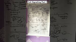 #cell-signalling #csir #csirnetlifescience #csirnetlifesciencestrategy #csir #csirnet #csirnetexam