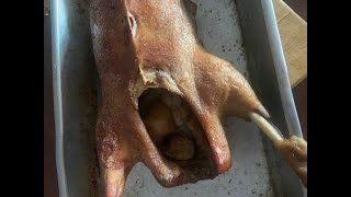 Christmas Geese available in Thailand