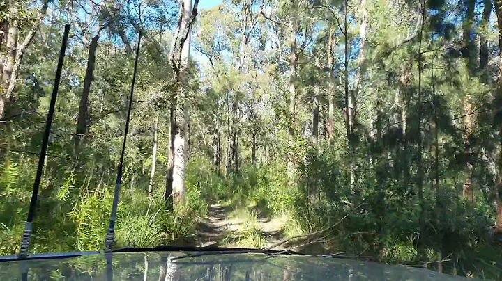 Tracey Palmer lookout 2021