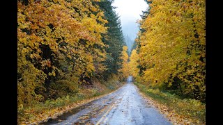 Autumn Drive Through Gifford Pinchot & Columbia River Gorge | Fall Colors and Waterfalls