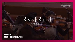 [만나교회] 호산나 호산나_찬141(파구스 오케스트라)