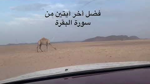 دحيم الحماد ١٤٤٤هـ فضل الأيتين من أخر سورة البقرة