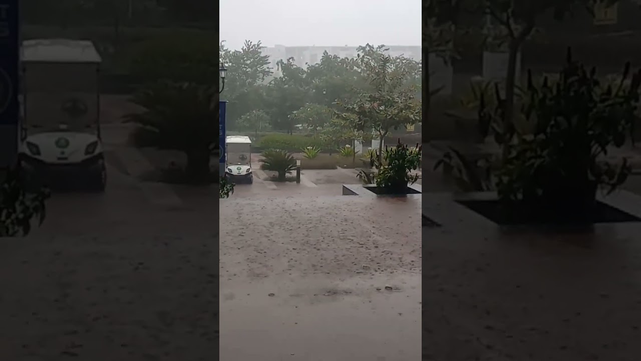 Beautiful View of Rain ☔ Raining in Bangalore