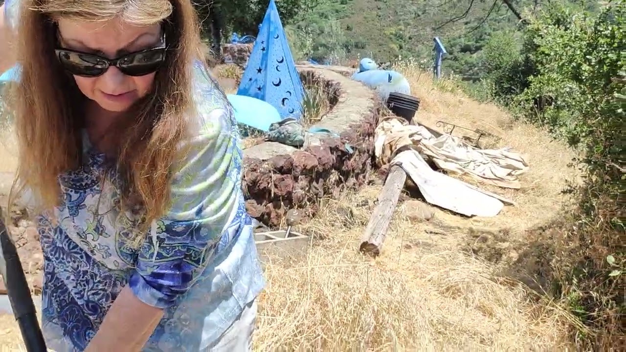 Celebration of Michelle 's Cat 