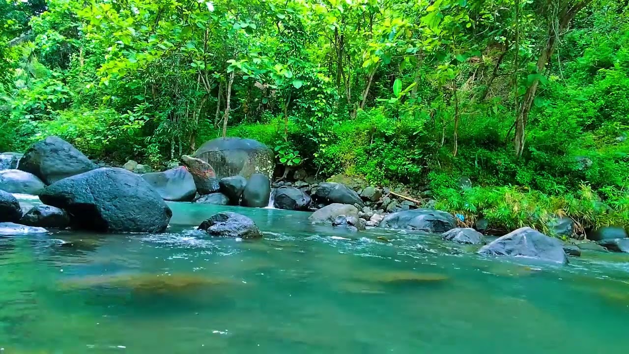 Relaxing Nature Sounds, Clear Green Forest Stream, Deep Sleep and Stress Relief