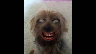 ZombieBooth screenshot 3