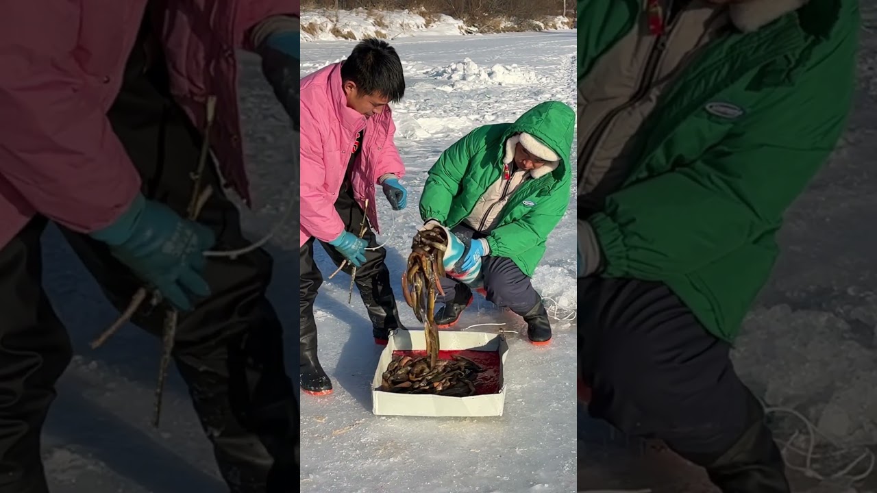 Ice River Fish Catch | Peaceful Video
