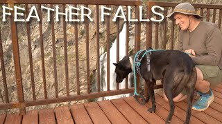 Feather Falls | Plumas National Forest hiking | northern California waterfalls