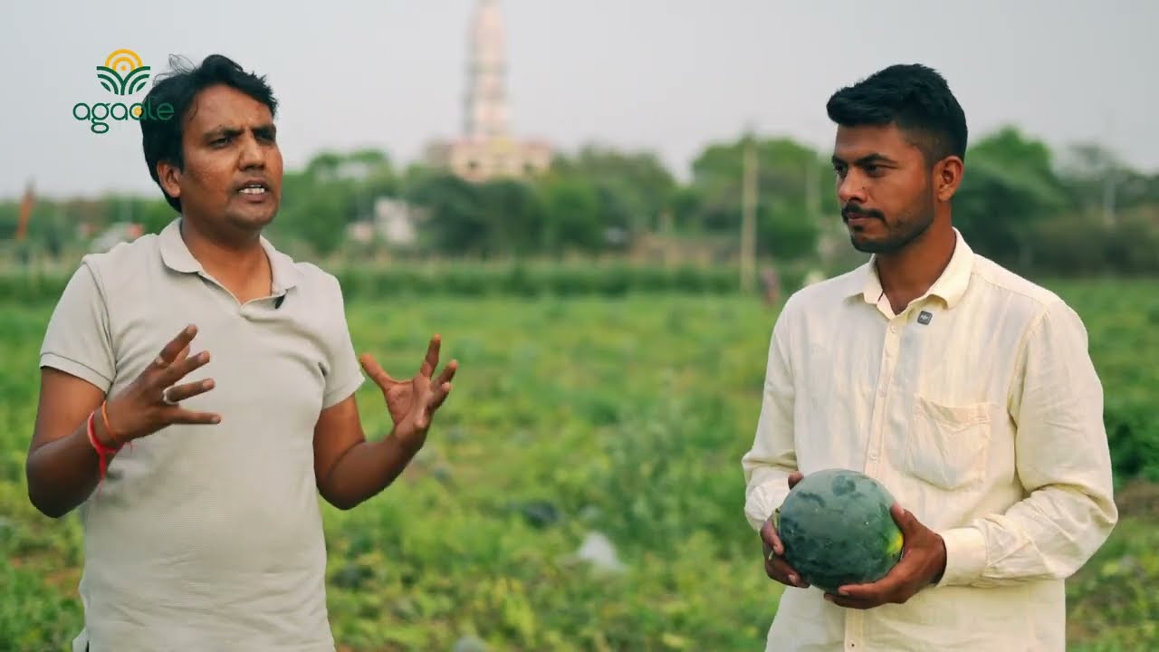 Agaate Watermelon Farming Guide – Video Production & Editing by Albela Films and Studios