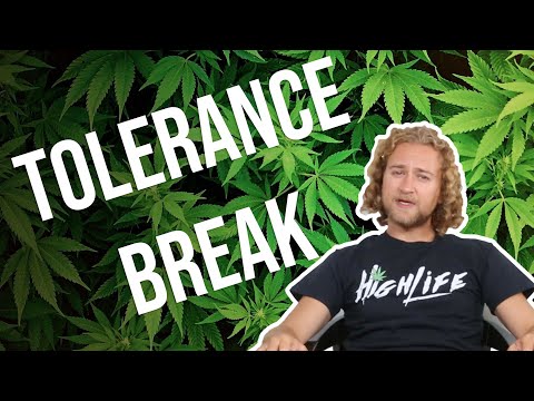 Tolerance Breaks! Short and long!