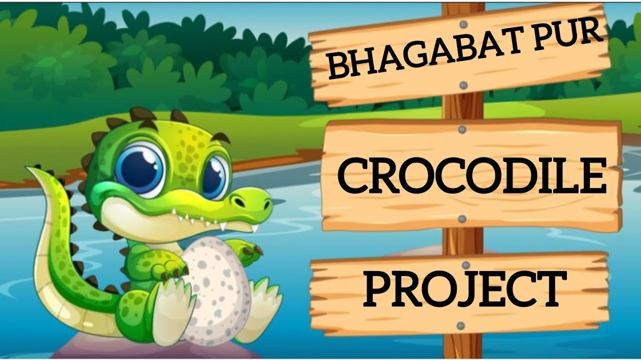 Bhagabat pur crocodile project 