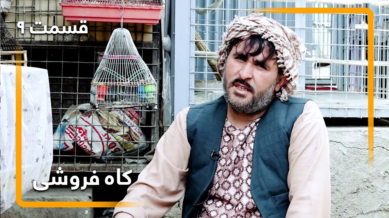 Kah Foroshi: Difference between Serin and Canary / کاه فروشی: تفاوت پرنده گل سر با کنری