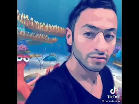 تجميع احلى فيديوهات تيك توك حماده هلال 