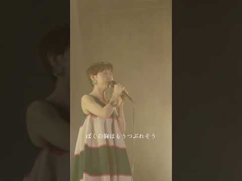 きらいなときはノーと 好きなら好きと言えたら #ハンバートハンバート #笑ったり転んだり #ぼくのお日さま #ハンバート入門