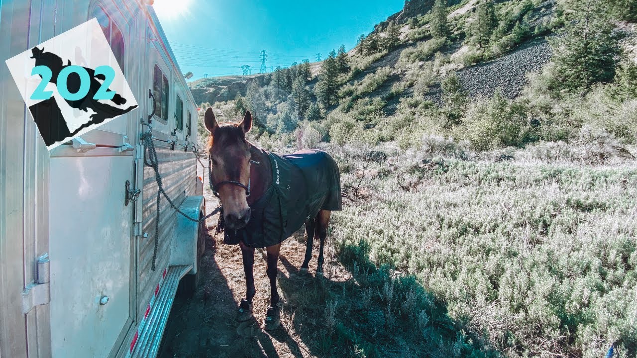 Barrel Racer Life Grand Coulee Pro Rodeo YouTube