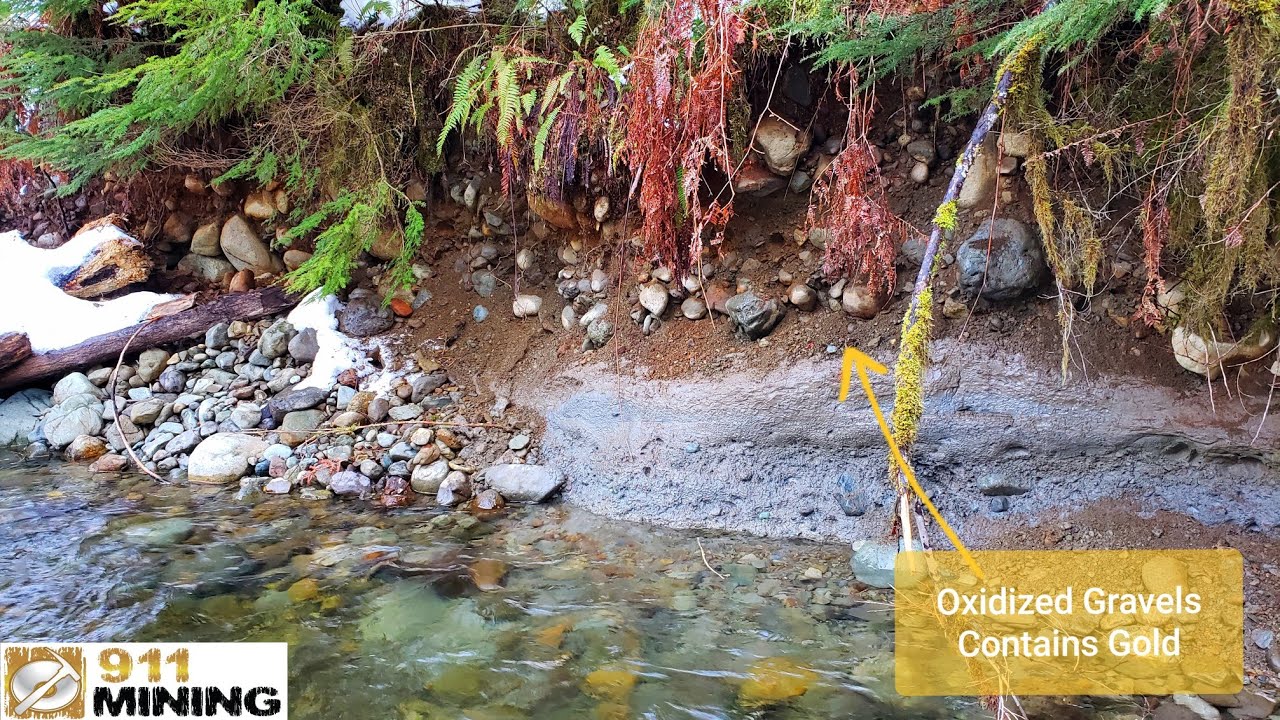 Gold On The Riverbank In Oxidized Gravels! YouTube