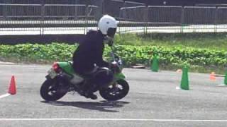 20091012丹波 ハエさん1