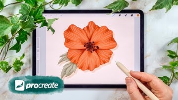 HOW TO DRAW A POPPY FLOWER | BEGINNER TUTORIAL | PROCREATE + IPAD PRO