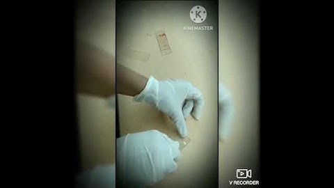 Practical Time in Lab 🧫 #shorts #reels #neet2022