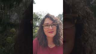 Y Combinator Winter 2019 application video