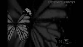 Metamorphosis.mp3
