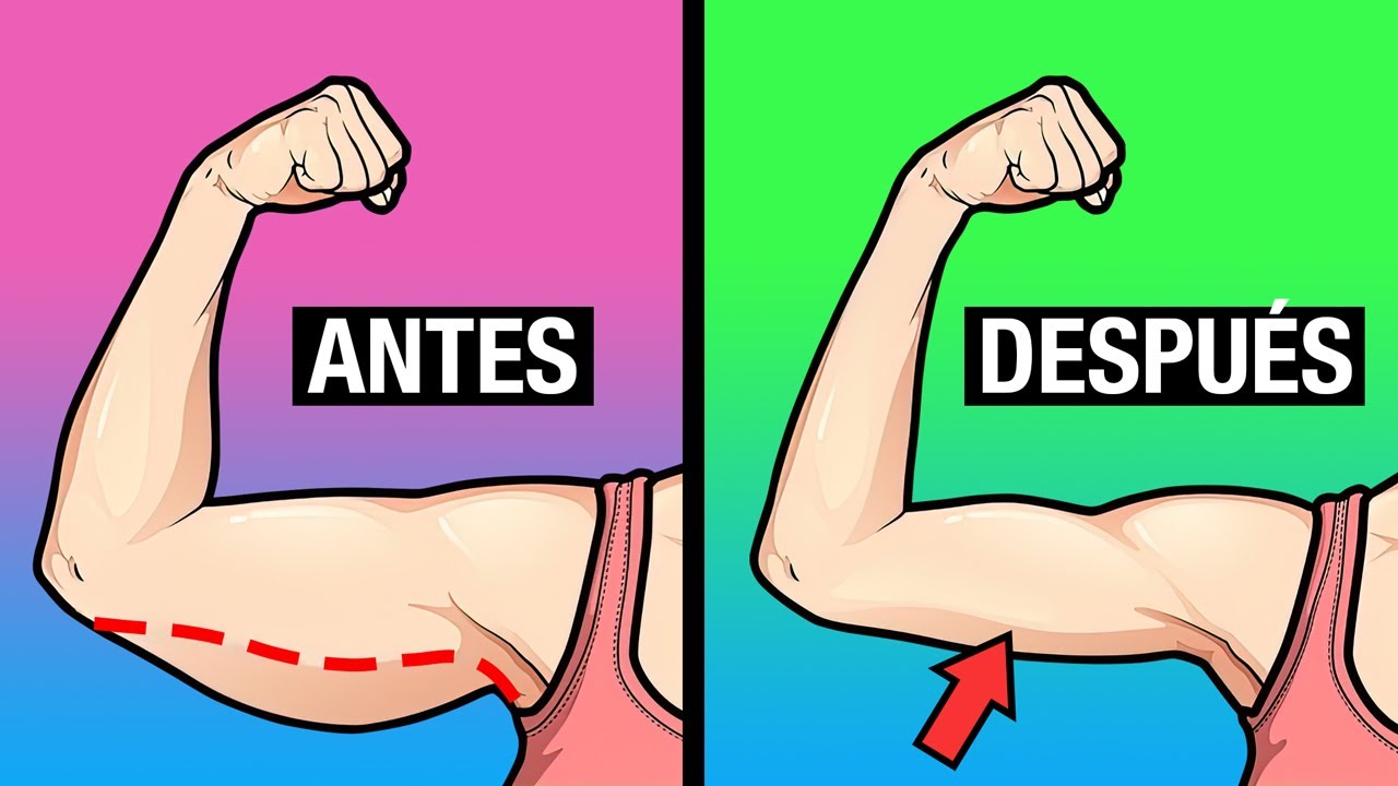 PERDER GRASA EN LOS BRAZOS BRAZOS DELGADOS Y DEFINIDOS YouTube