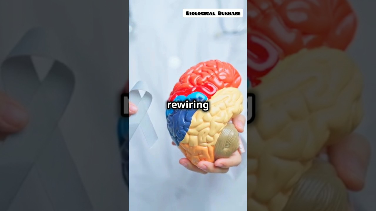 Brain🧠 reconstruction: Neuroplasticity of neural pathways can make you a genius🧞
