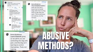 Apparently, I am abusive. Let's look at the actual footage. Responding to ''internet experts'.