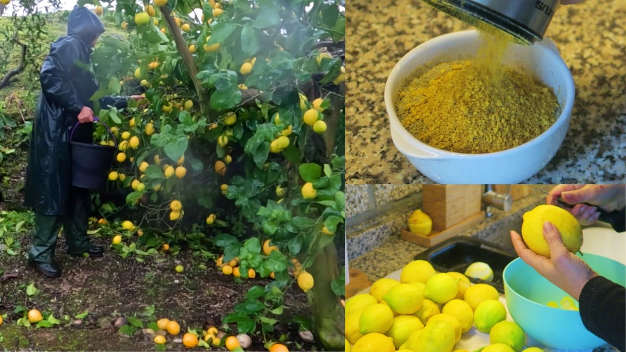 O SEGREDO DO MEU TEMPERO CASEIRO EM DIA DE CHUVA NA SERRA-COMO ESTÁ O RIO DA SELVA