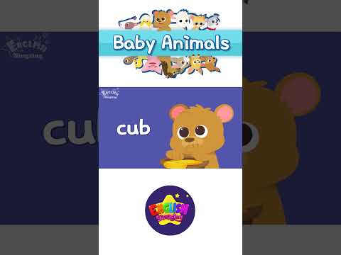 Kids vocabulary - Growing a <strong>Tree</strong> - Learn English <strong>for</strong> kids - English educational video #shorts