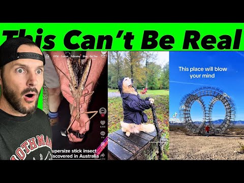 Fitbryceflix: The Secret Footage They Tried To Hide