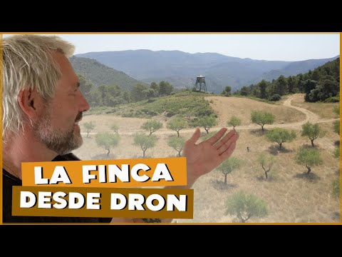 LA FINCA a vista de dron. Os la enseño | #Cañizares