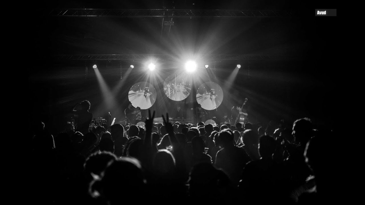 ANTITAPAS PRIMAVERA NIGHT