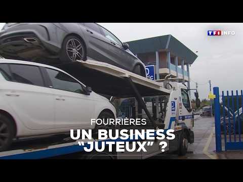 Fourrières : pourquoi sont-elles encore plus chères ?｜TF1 INFO