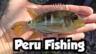 Fishing a Small Pond in the Amazon Rainforest | Peru Fishing 🇵🇪