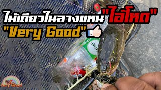 ไม้เดียวในลางแหน “ไอ้โหด”Very Good 👍