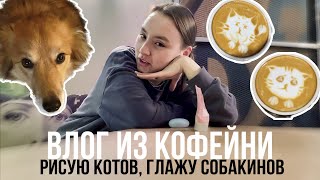 38. ВЛОГ ИЗ КОФЕЙНИ| Как рисовать котика на молочной пенке?