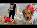 Pismo Beach Vlog | Day Trippin'