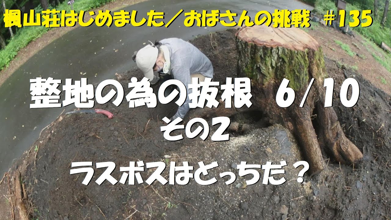 ＃１３５　整地の為の抜根　6/10　その２／ラスボスはどっちだ？