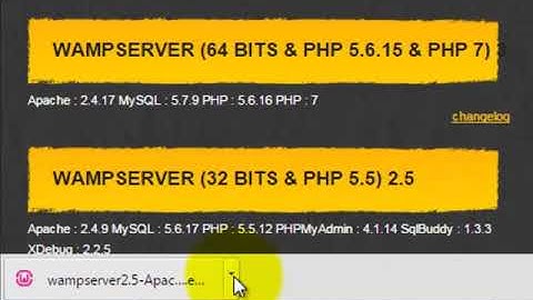 1  WordPress Tutorials in Urdu/Hindi   How to Download and Install Wamp Server