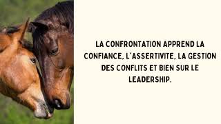 Equicoaching - Developpez Votre Leadership Alteressence.fr