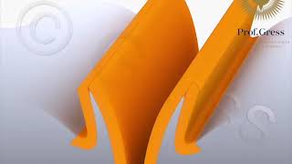 Labia Reconstruction – Repair of the Labia Minora Using Vaginal Skin | Prof. Dr. Gress