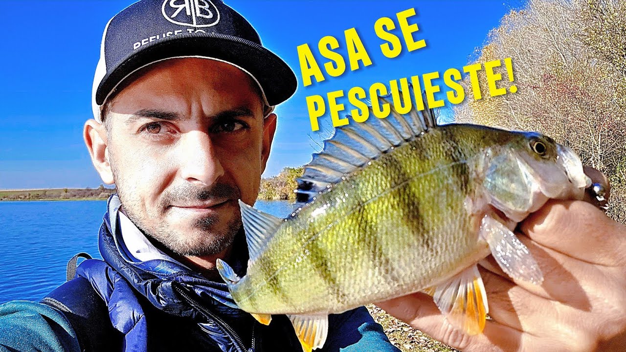 Aventură de PESCUIT la BIBAN - AM prins BIBANI și CARAȘI la SPINNING