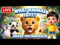 🔴 LIVE: What Animal Is It? 🐘 Guess 100 Animals &amp; Sounds for Kids