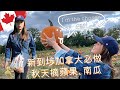 【加拿大人妻Vlog】新到埗加拿大必做 秋天摘蘋果、南瓜｜即摘蘋果好唔好食？｜南瓜其他用途係咩？｜移民加拿大 多倫多生活