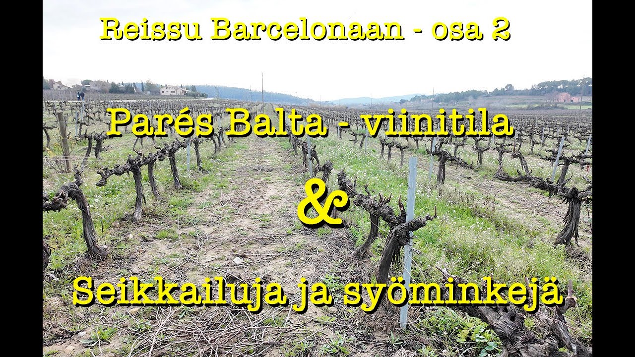 Reissu Barcelonaan - osa 2 - Parés Balta - viinitila, seikkailuja ja syöminkejä