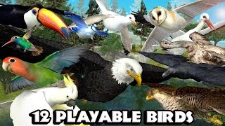 #Ultimate #Bird #Simulator׃ By Gluten Free games -  Game Trailer for iOS and Android screenshot 1